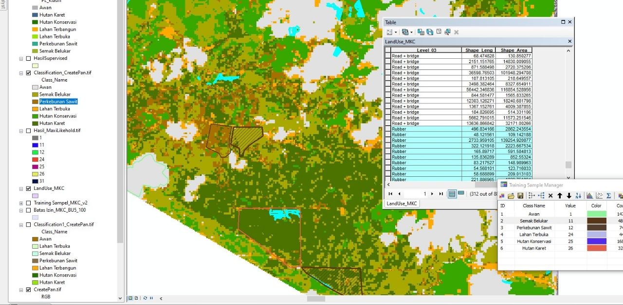 Spatial databases behind plantation operations